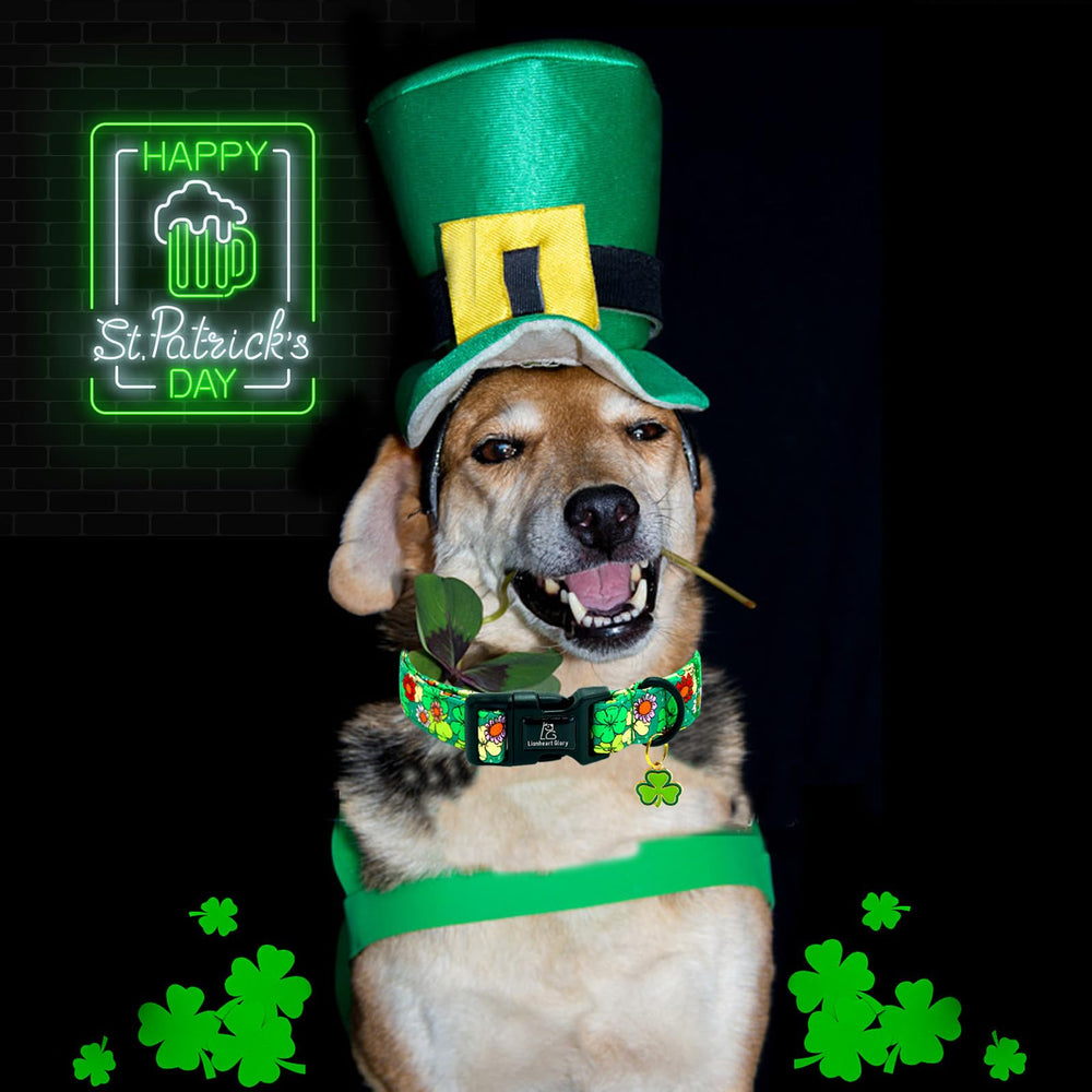 Diseño con trébol verde en Collar Lionheart glory.
