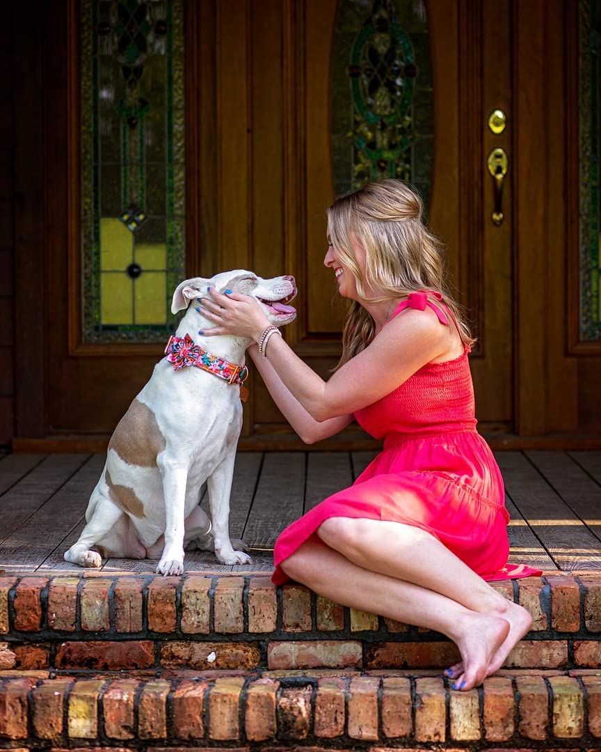 Lionheart Glory dog collar cotton soft material offers gentle comfortable wear for adventures.
