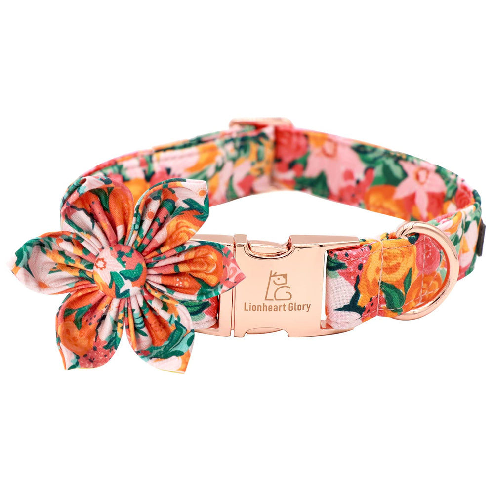 Lionheart Glory dog collar flower detail shows removable embellishment for seasonal flair.