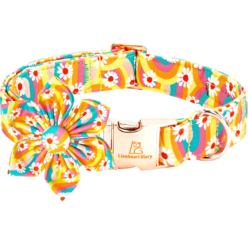 Lionheart glory dog collar with removable flower for versatile styling and seasonal flair.
