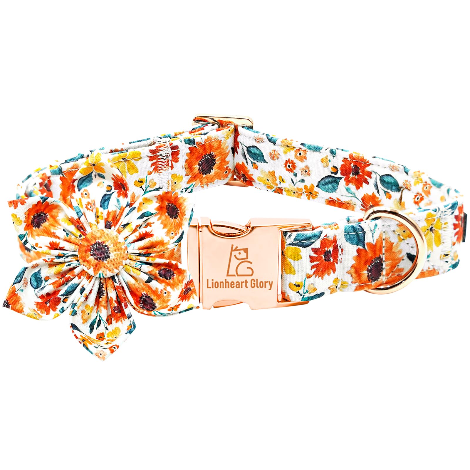 Lionheart Glory dog collar with removable flower adds playful seasonal flair for walks