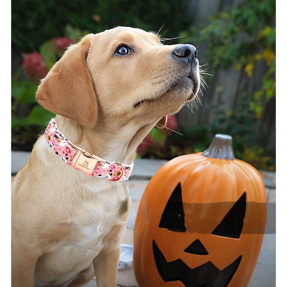 Lionheart Glory handmade-bow pumpkin-pink collar adds charm during walks