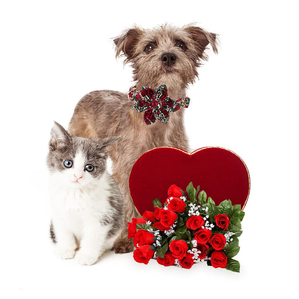 Lionheart Glory collar on a dog during a photoshoot showcases floral charm.