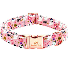 Lionheart Glory pumpkin-pink dog collar with adjustable fit for comfy Halloween photos