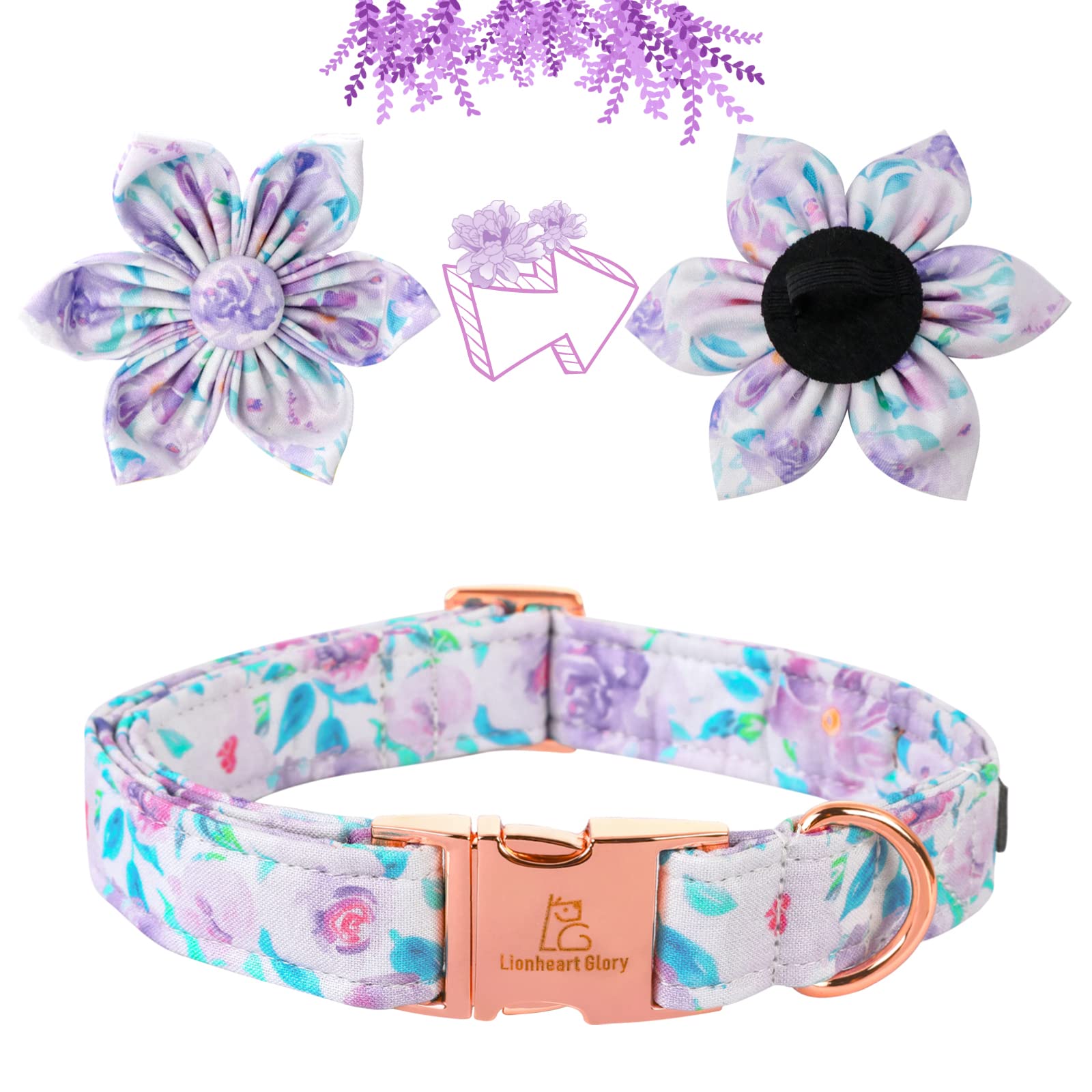 Lionheart Glory size M adjustable strap for comfortable fit.