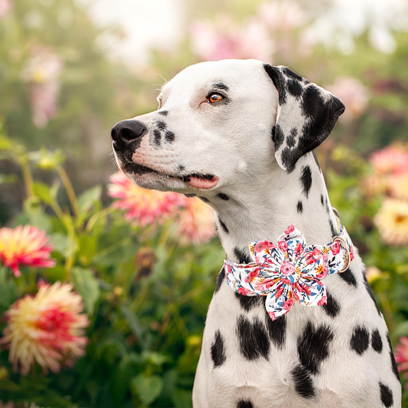 Lionheart Glory flower accent makes a charming gift-ready accessory.