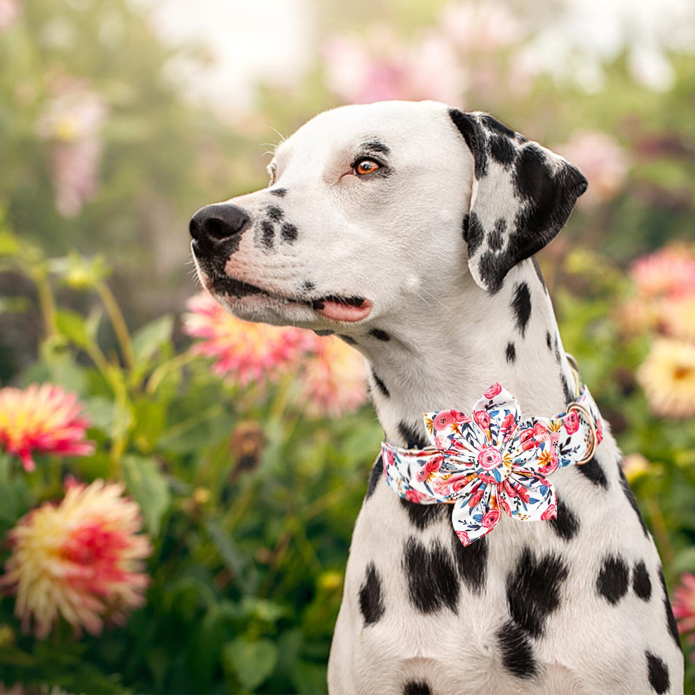 Lionheart Glory flower accent makes a charming gift-ready accessory.