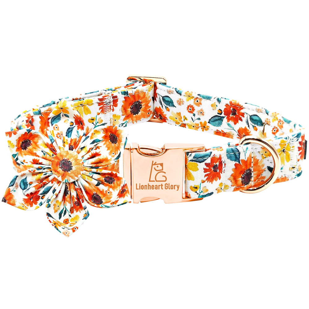 Lionheart Glory floral dog collar with removable flower for versatile styling on walks.