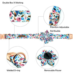Lionheart Glory floral dog collar with removable flower for versatile styling
