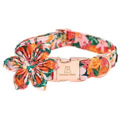 Lionheart Glory floral-pattern pet collar with removable flower for cute, adjustable style.