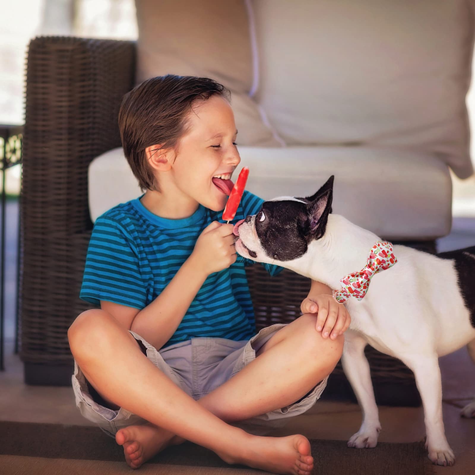 Lionheart Glory gift-ready popsicle print collar for cheerful summer gifting.