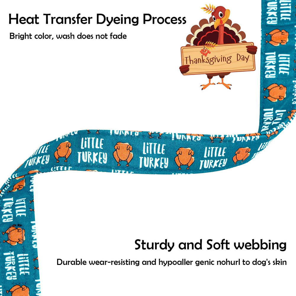 Lionheart glory holiday-photo ready collar enhances festive styling for events.