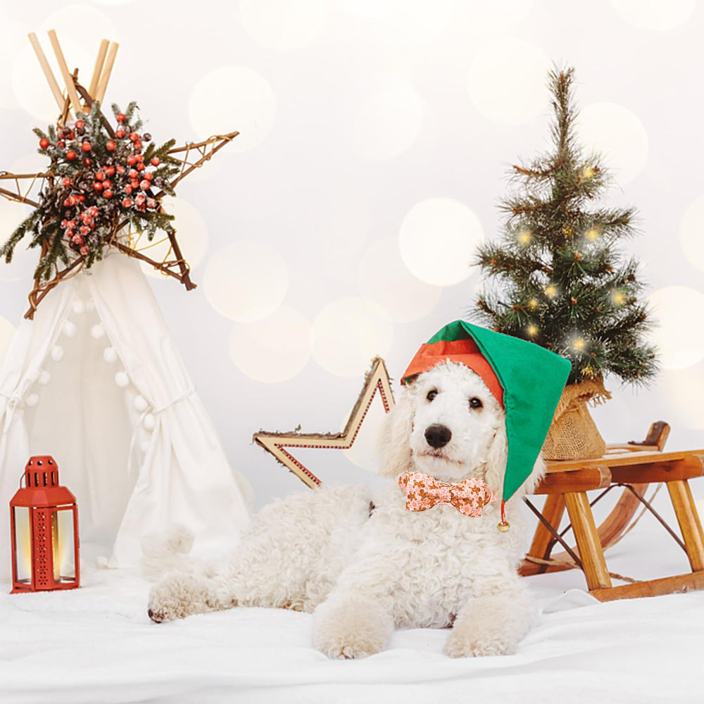 Lionheart glory Christmas collar on a large dog ready for holiday photos