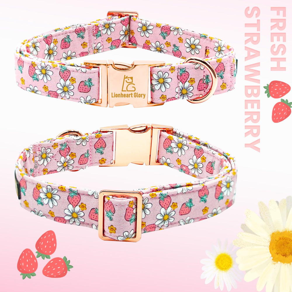 Lionheart Glory medium dog wearing pink flower collar during a walk