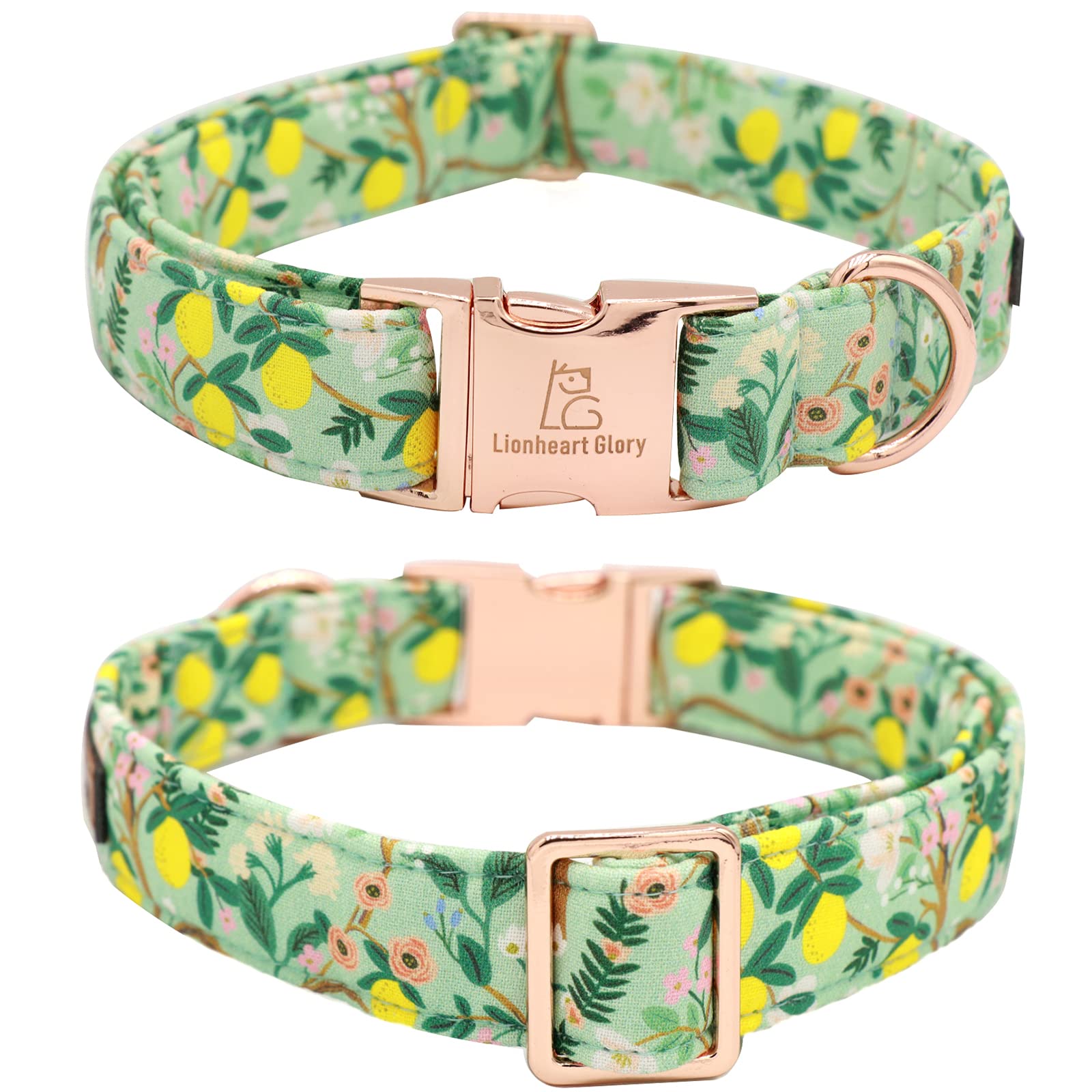 Lionheart Glory medium-size adjustable collar for comfortable, secure fit