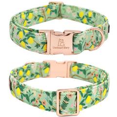 Lionheart Glory medium-size adjustable collar for comfortable, secure fit