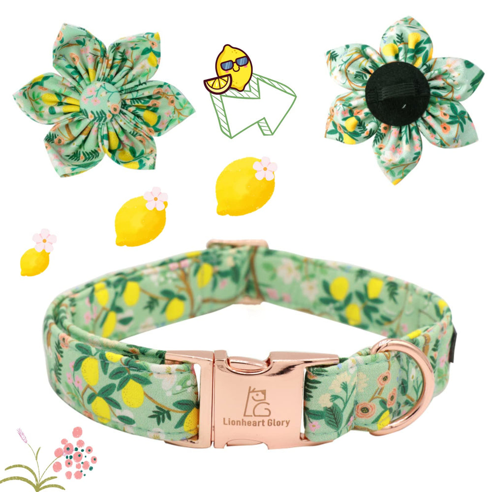 Lionheart Glory removable flower accessory fits most collars for versatile style