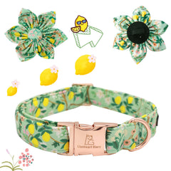 Lionheart Glory removable flower accessory fits most collars for versatile style