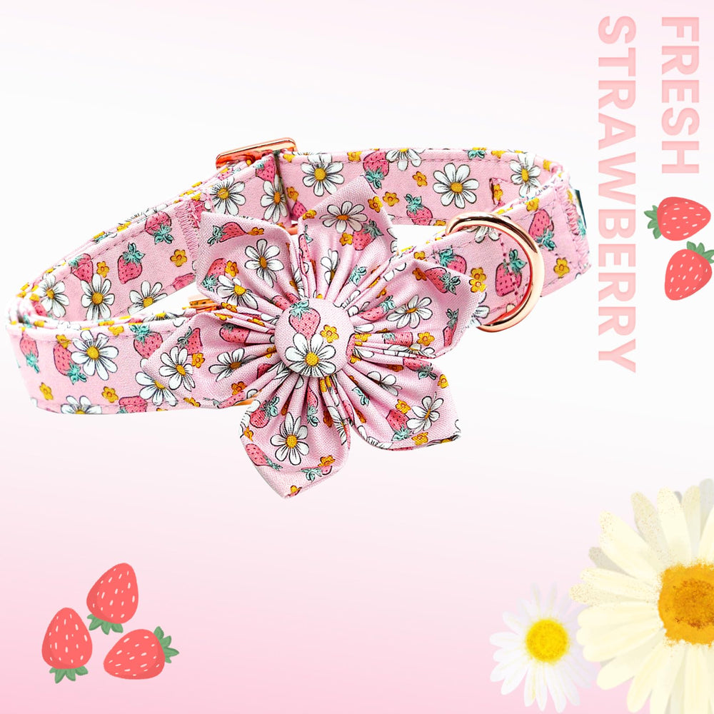 Lionheart Glory removable flower detail highlighting easy seasonal styling