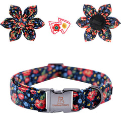 Lionheart Glory removable-flower-on-collar: easy seasonal styling.