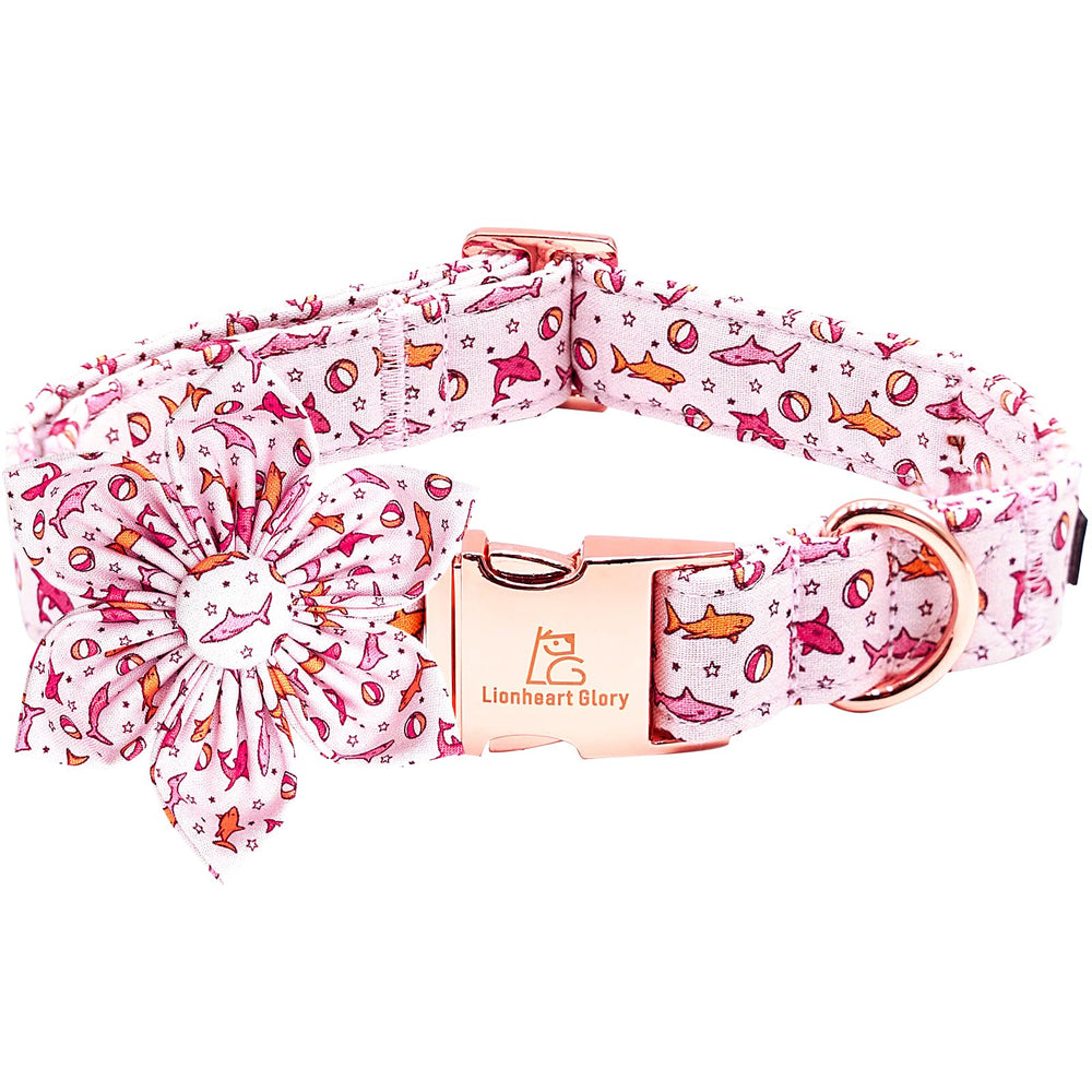 Lionheart Glory shark print pink collar on a large dog for bold daily walks