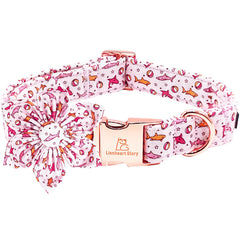 Lionheart Glory shark print pink collar on a large dog for bold daily walks
