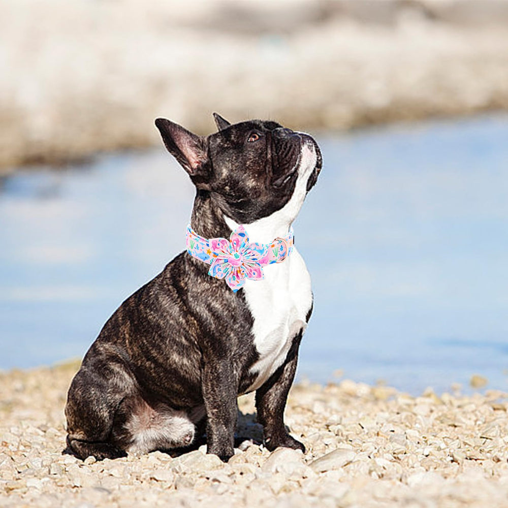 Lionheart glory size-guide helps pick the right fit for larger breeds.