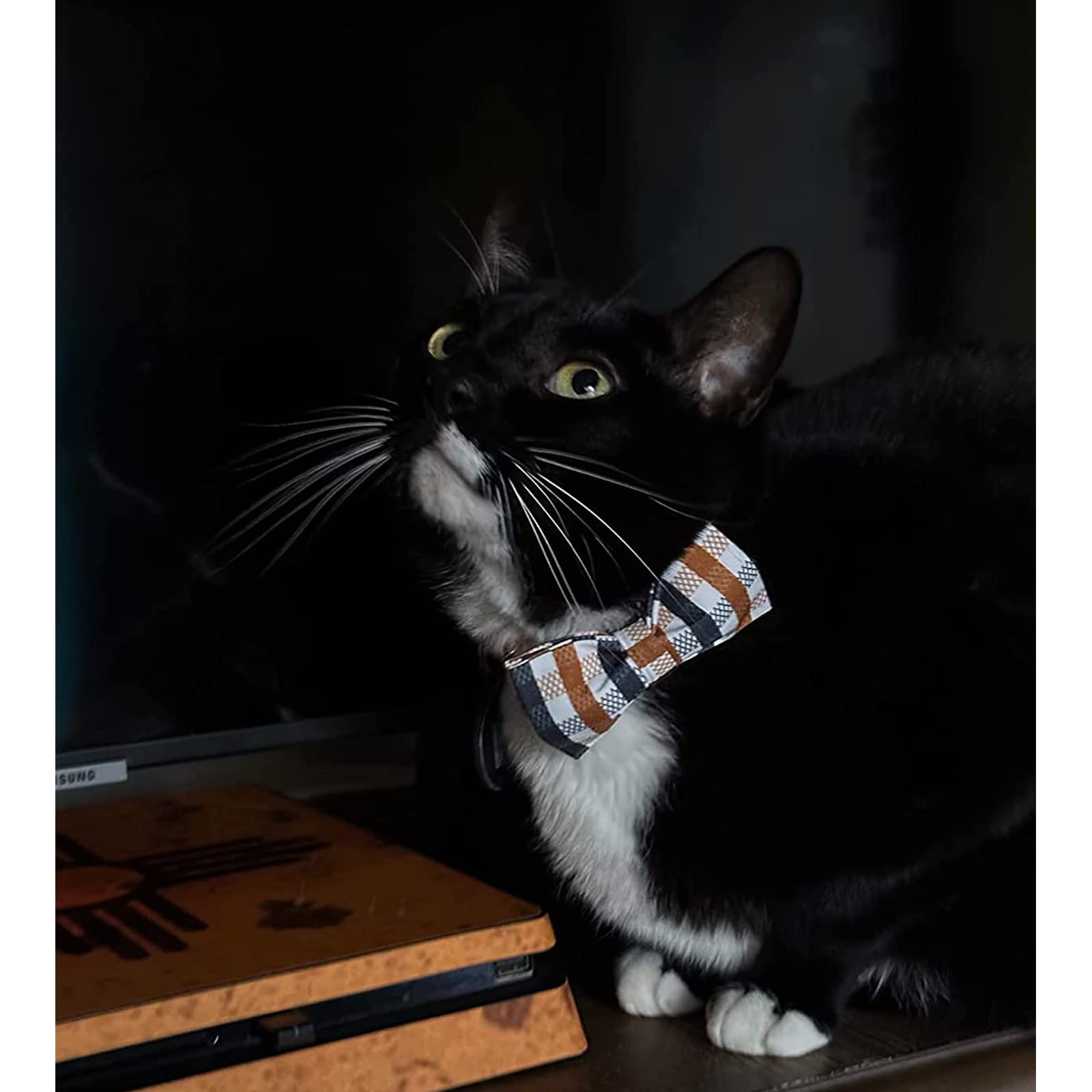 Lionheart Glory size guide helps select the right collar for small to large dogs.