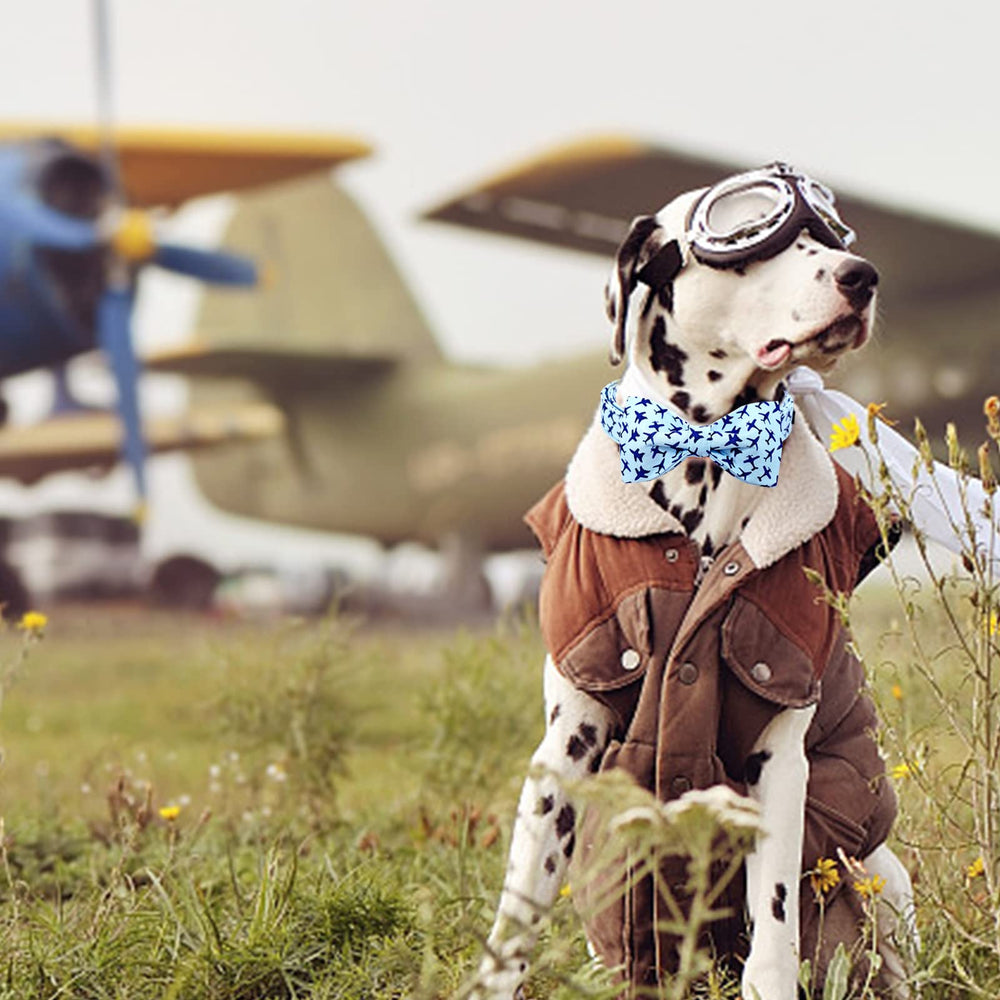 Lionheart Glory small-to-large dog collar design supports versatile fit
