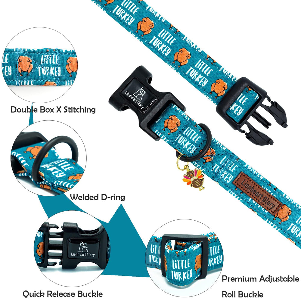 Lionheart glory soft-adjustable collar with D-ring offers durable comfort for daily wear.