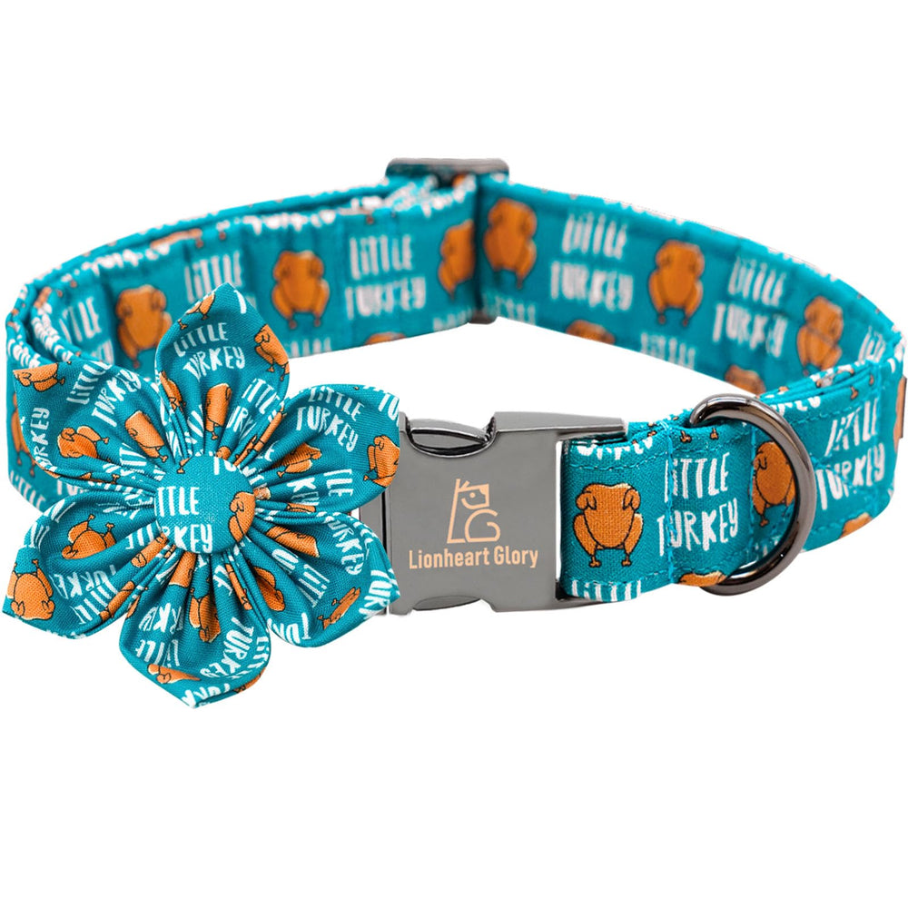 Lionheart Glory Thanksgiving dog collar on a festive setup for holiday photos