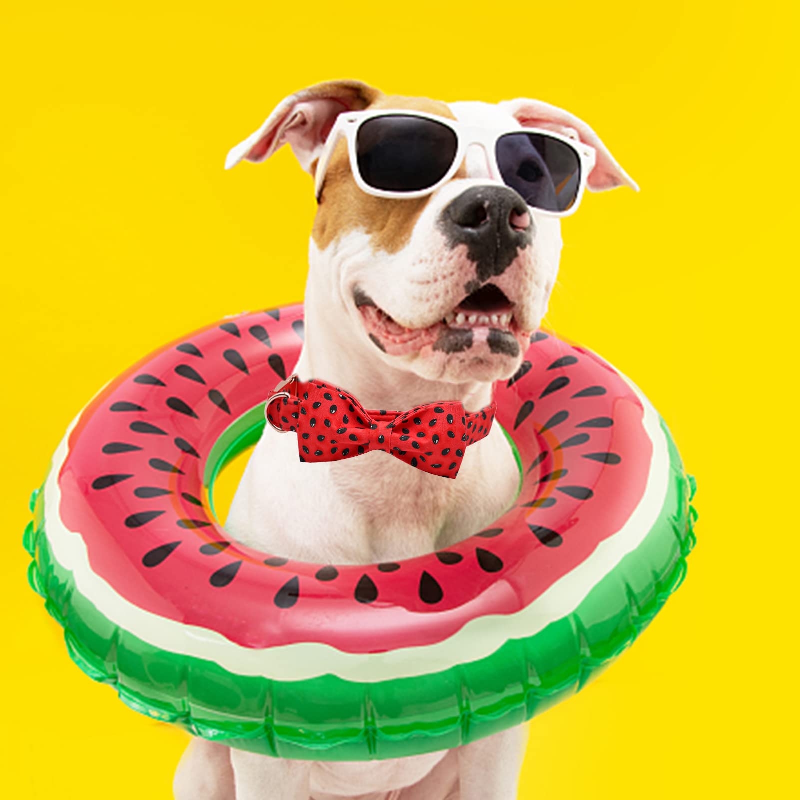 Lionheart Glory watermelon-bow-attachment highlights secure handmade bow on the collar.