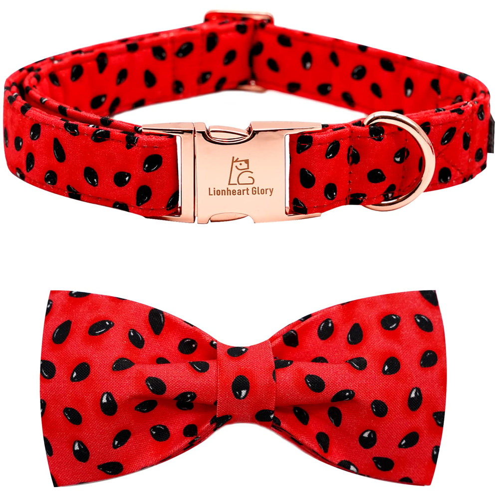 Lionheart Glory watermelon-collar closeup shows soft cotton comfort for everyday wear.