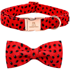 Lionheart Glory watermelon-collar closeup shows soft cotton comfort for everyday wear.