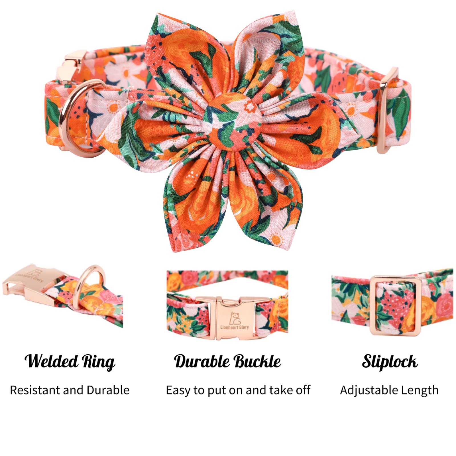 Lionheart Glory welded D-ring adds durable leash attachment for daily walks.