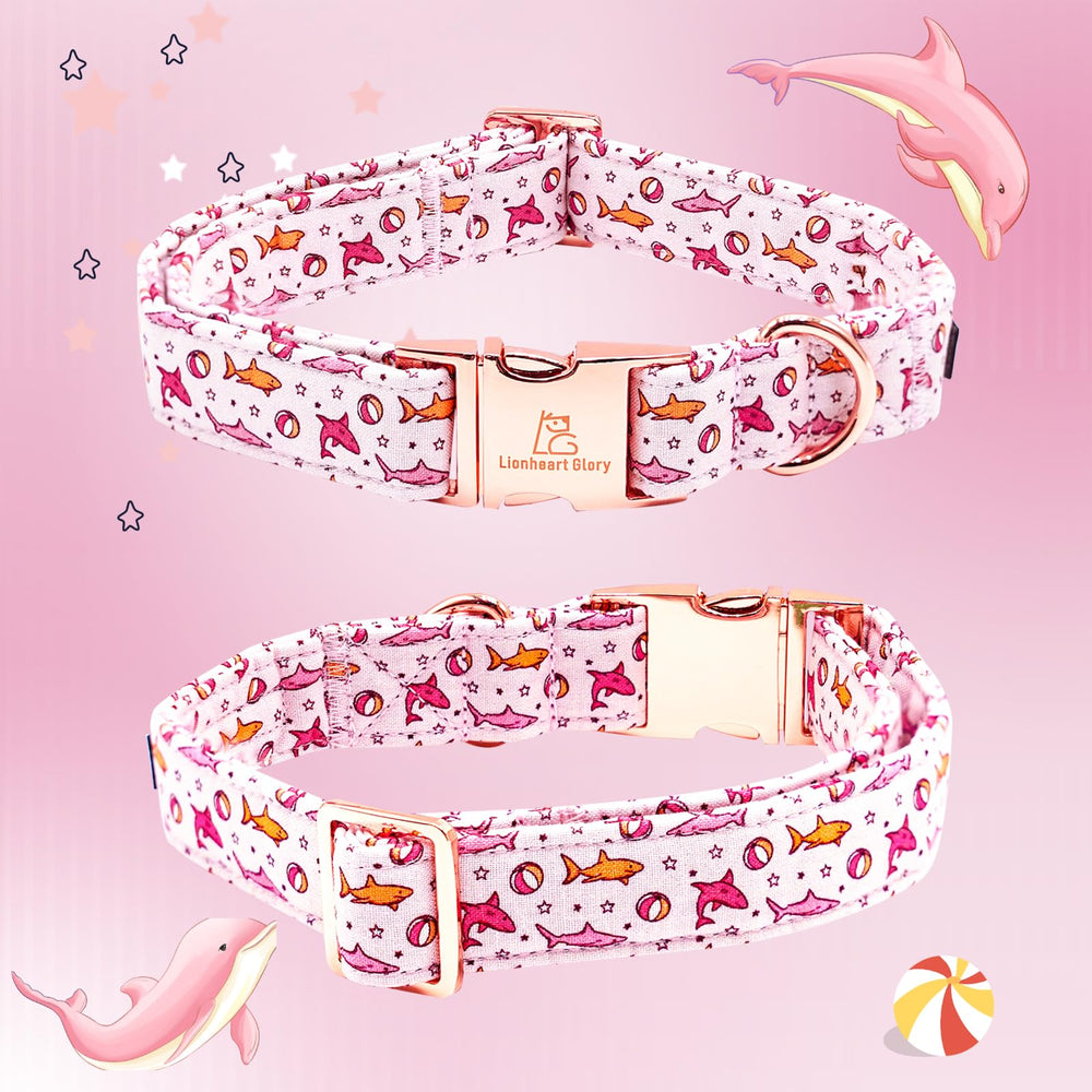 Lionheart Glory weled D-ring ensures durable leash attachment for reliable walks