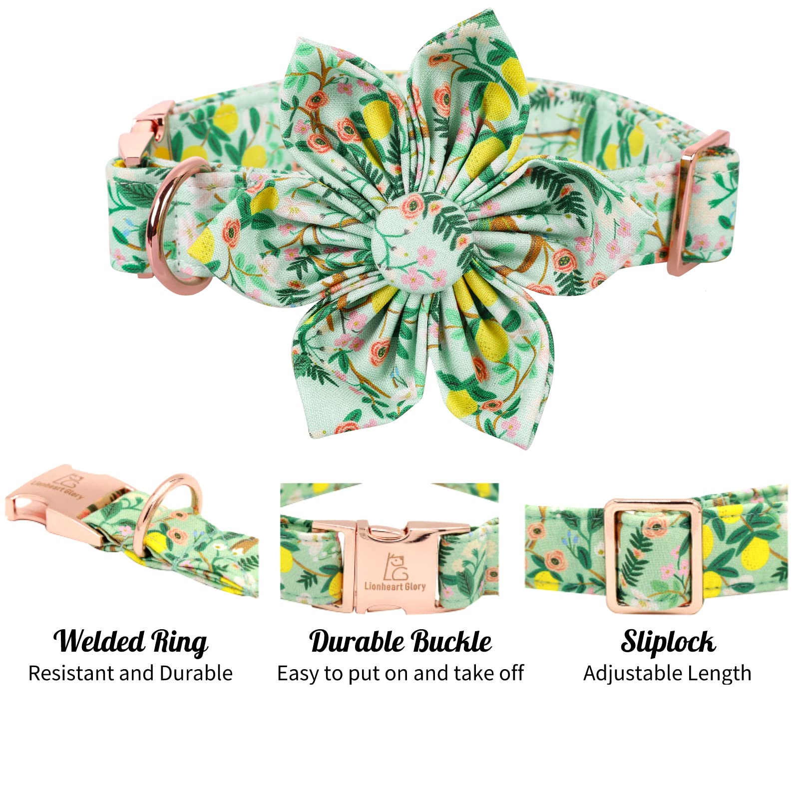 Lionheart Glory woven D-ring collar offers durable leash attachment