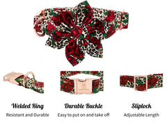 Lionheart Glory XL adjustable collar shown for a secure, comfy fit.