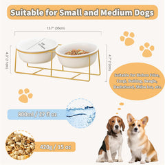 LIONWEI LIONWELI ceramic bowls are lead-free for safe, easy-to-clean meals