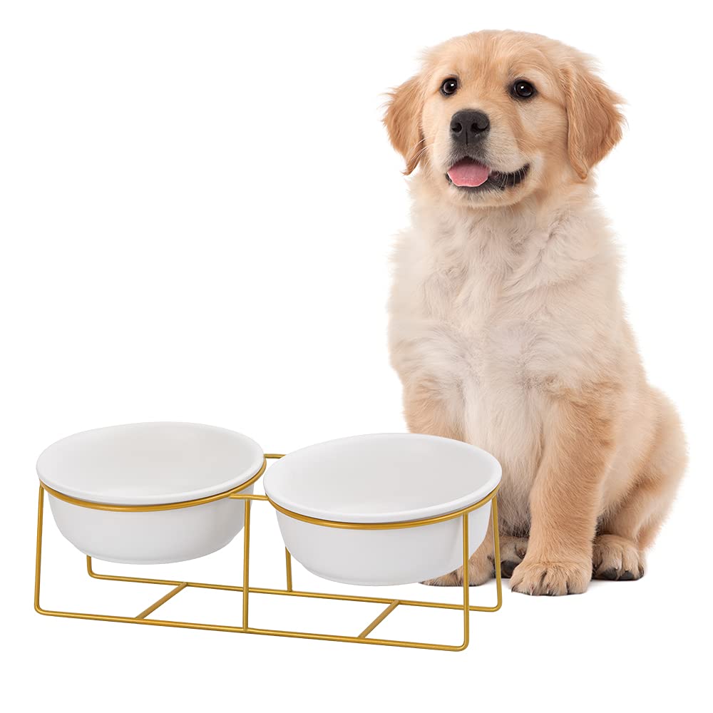 LIONWEI LIONWELI double elevated bowls on gold stand support relaxed feeding posture