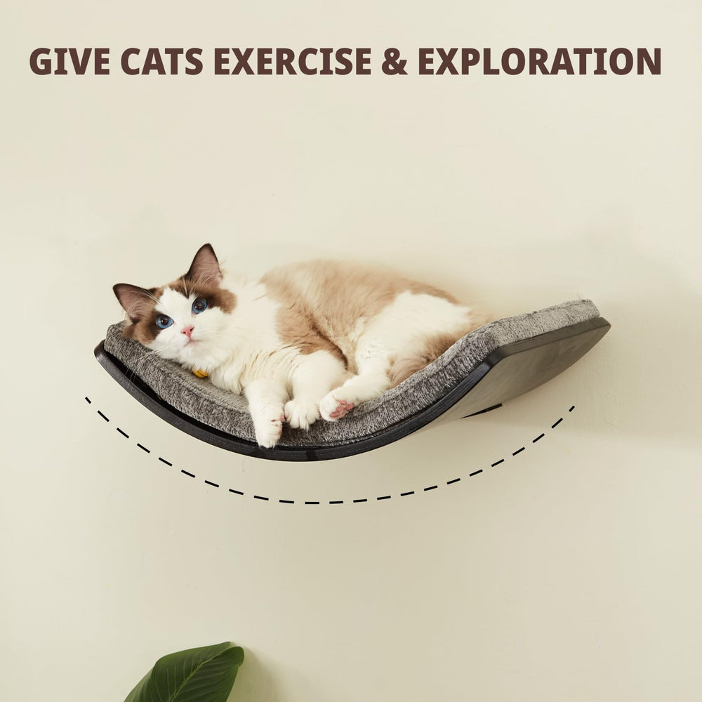 LIORCE cat-shelf curved-lotus-design providing elevated perch for curious cats