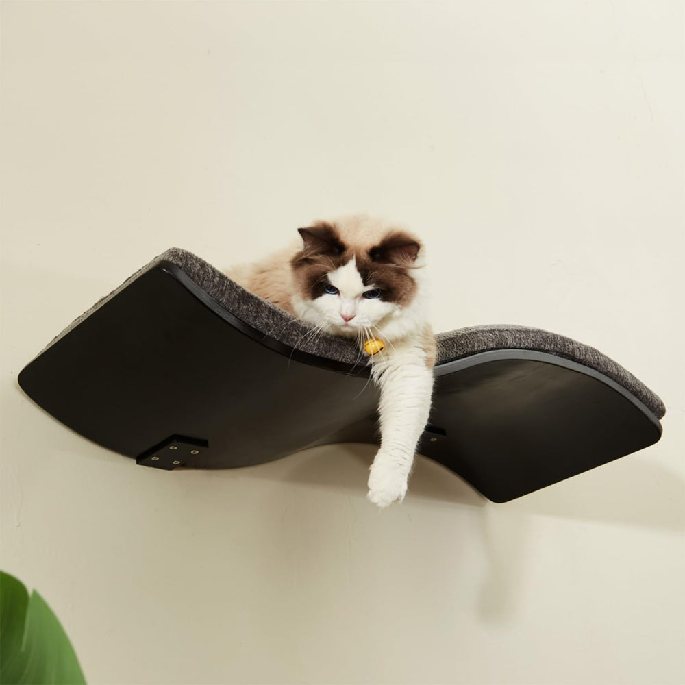 LIORCE cat shelf dimensions 31x11.8x3.5 inches show generous two-cat space.
