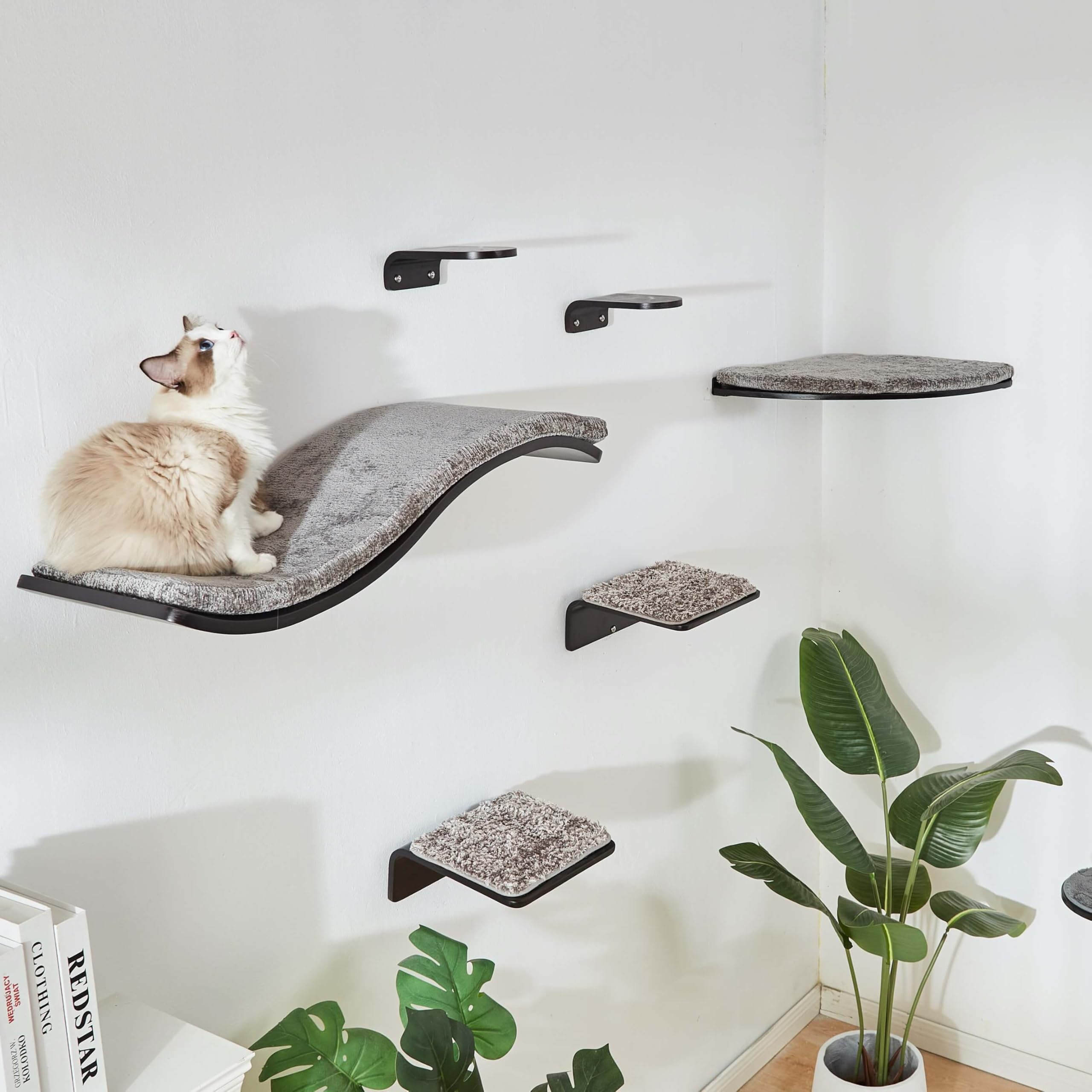 LIORCE cat shelf two-cat usage demonstrates shared lounging and bonding.