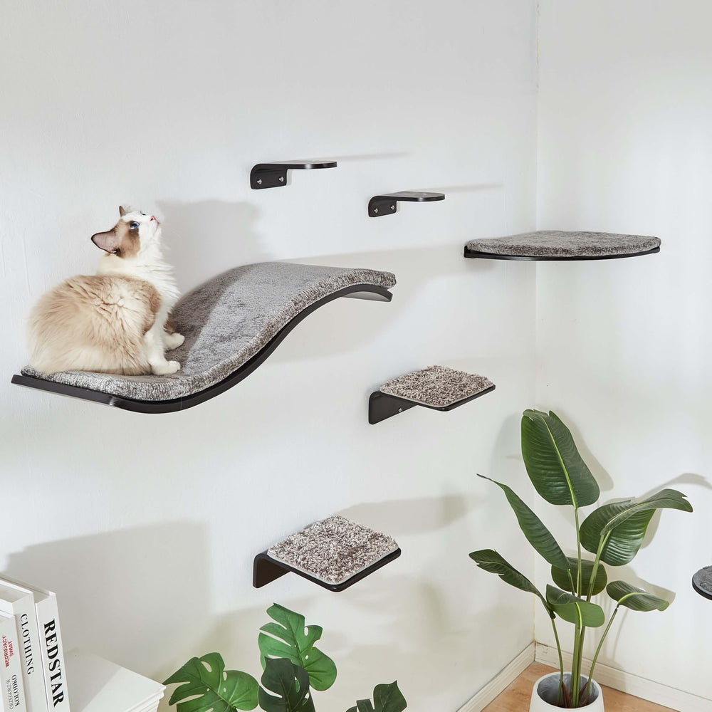 LIORCE cat shelf two-cat usage demonstrates shared lounging and bonding.