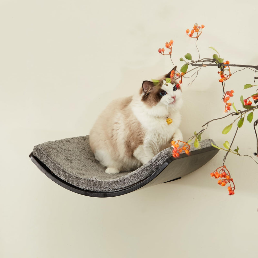 LIORCE cat-shelf walnut-finish blends with decor while supporting multiple cats