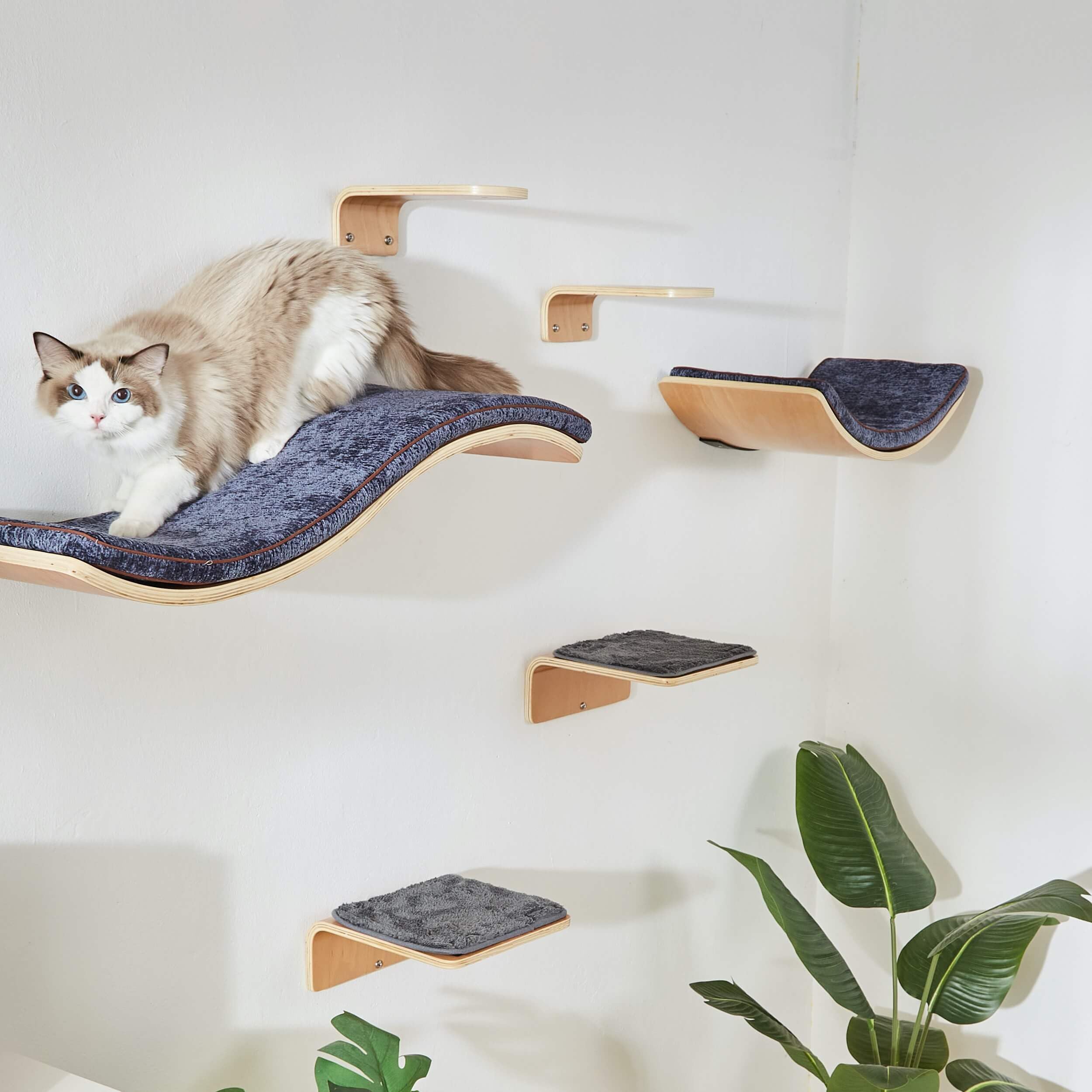 LIORCE in-room setup featuring curved bed blends with decor and saves floor space.