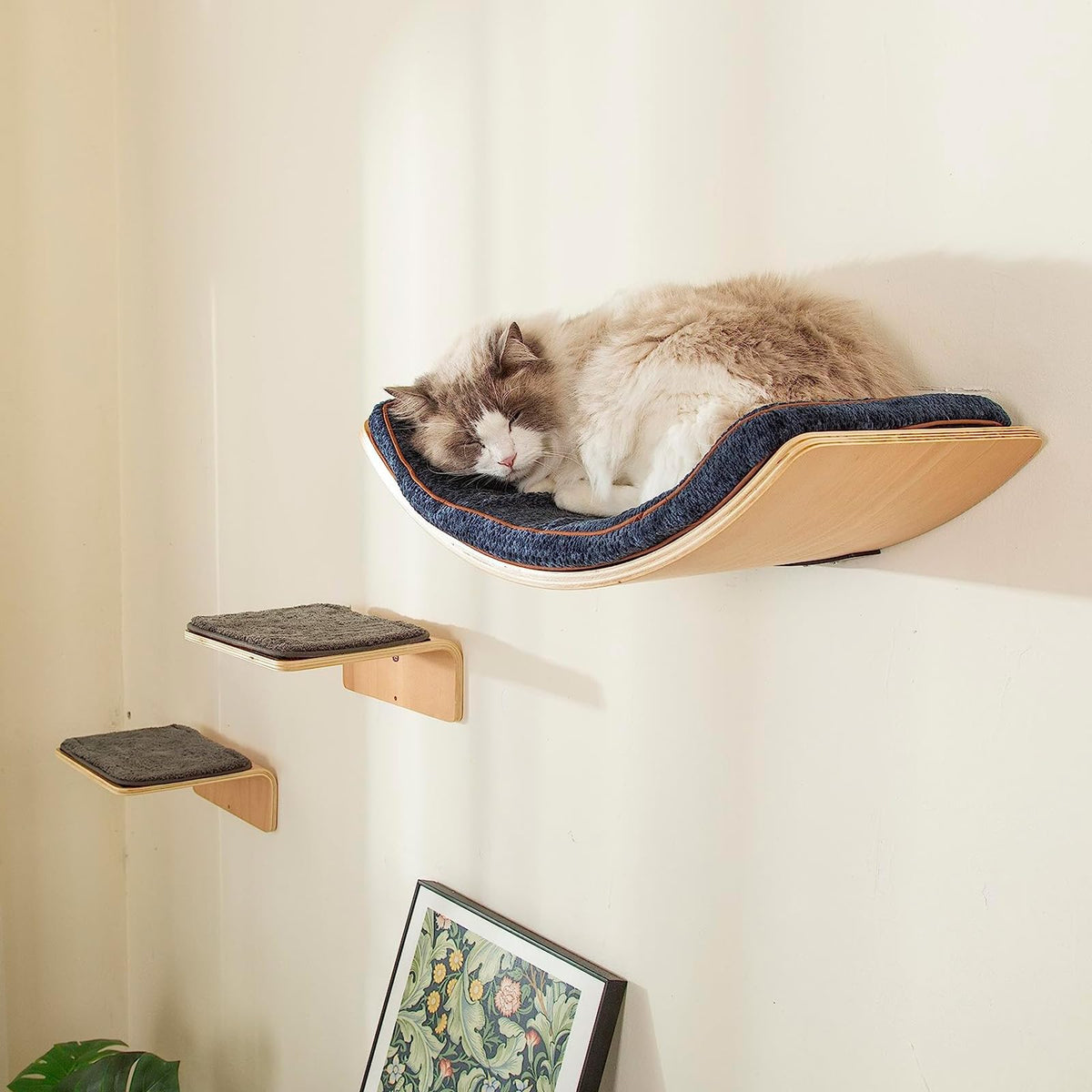 LIORCE cat wall shelf curved bed close-up with plush cushion for cozy naps.