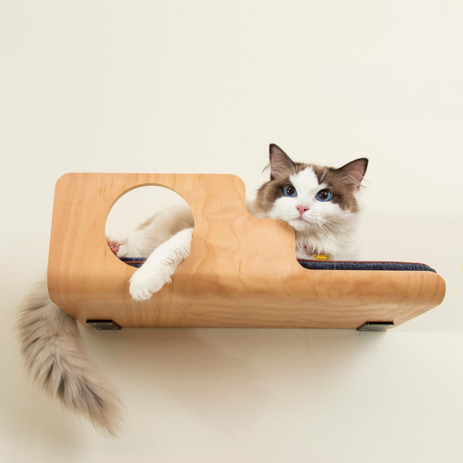 LIORCE cat wall shelves peephole for elevated observation and play.