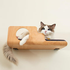 LIORCE cat wall shelves peephole for elevated observation and play.