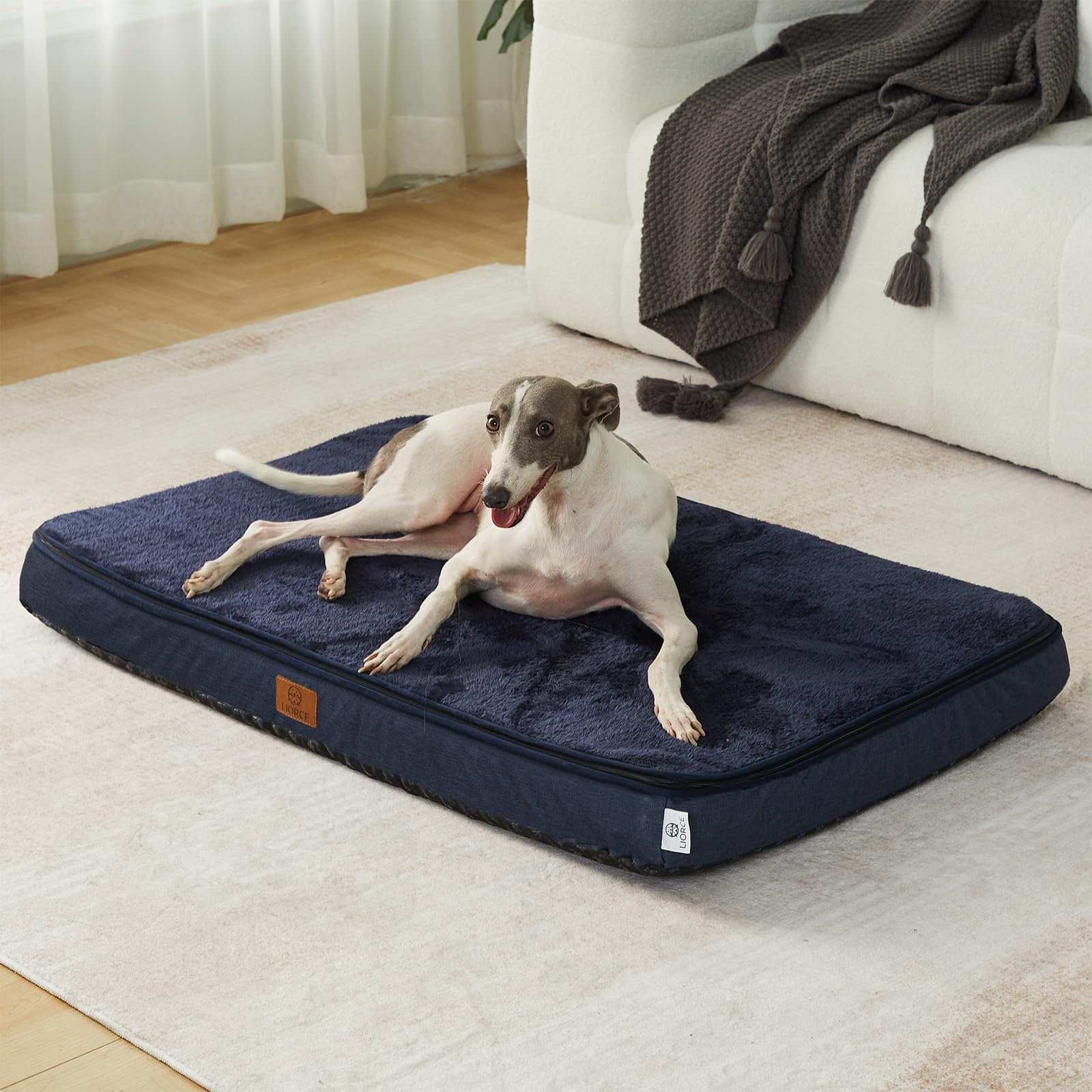 LIORCE memory foam dog bed in living room and car illustrates versatile placement